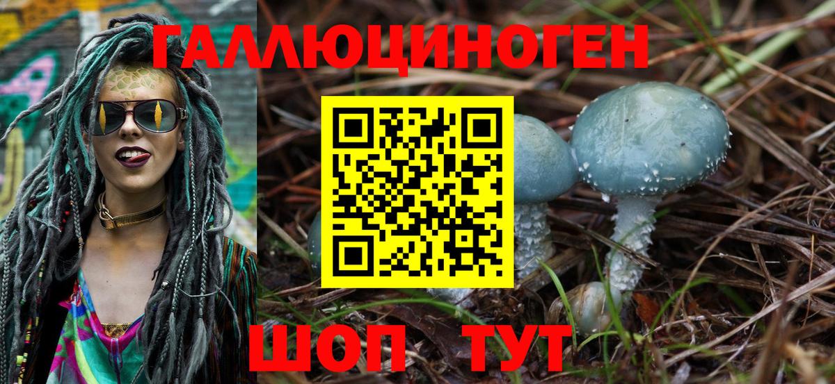 Псилоцибиновые грибы MAGIC MUSHROOMS Губаха